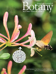 American Journal Of Botany