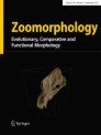 Zoomorphology