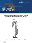 Journal Of Orthopaedic Research