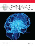 Synapse