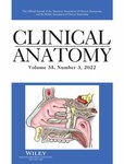 Clinical Anatomy