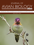 Journal Of Avian Biology