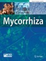 Mycorrhiza