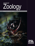 Journal Of Zoology
