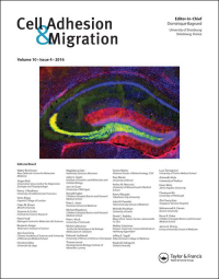 Cell Adhesion & Migration