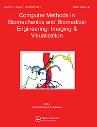 Computer Methods In Biomechanics And Biomedical Engineering-imaging And Visualization